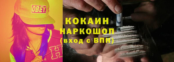 дживик Баксан