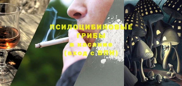 дживик Баксан