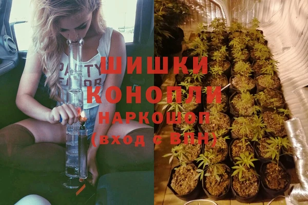 дживик Баксан