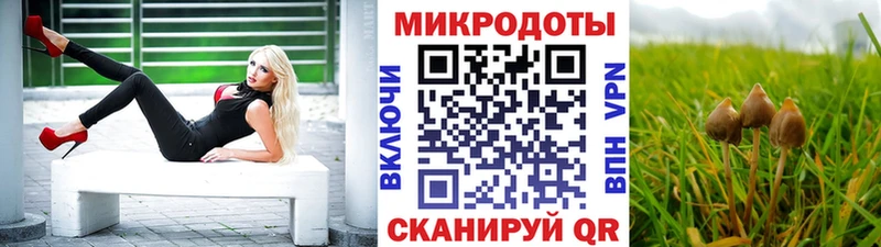 блэк спрут как зайти  Ульяновск  Псилоцибиновые грибы MAGIC MUSHROOMS 